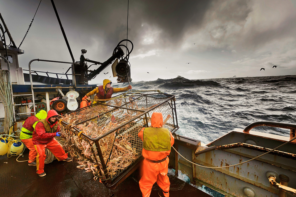 Pandemic, Changing Markets Pose Challenges for Bering Sea Fisheries