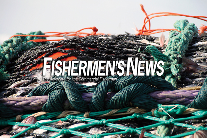 Commercial Harvest of Alaska Salmon Hits 72.7M Fish