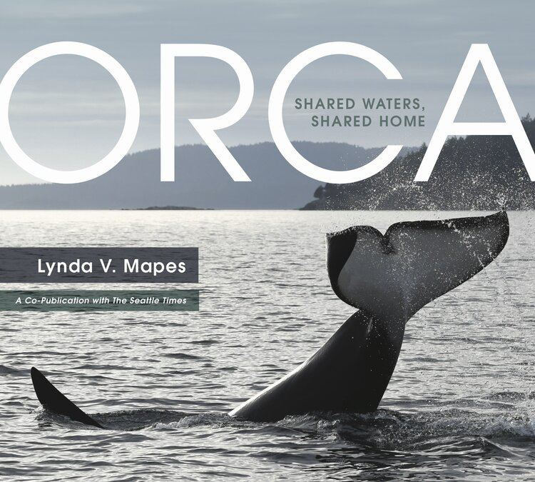 Book Review:  Lynda V. Mapes’ Orca: Shared Waters, Shared Home