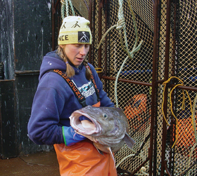 ZP3 Gene Holds Secrets to Future of Pacific Cod Stocks