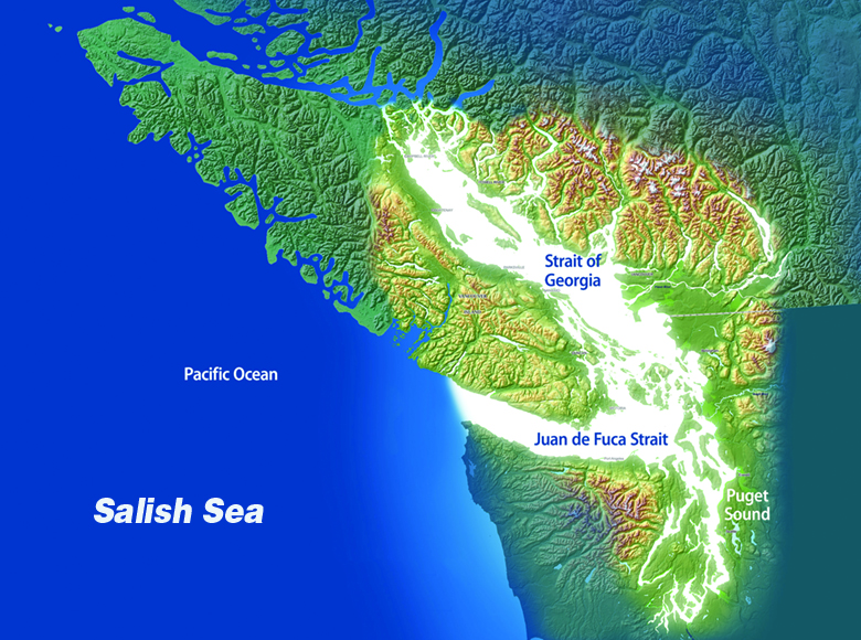 Rally Held in Seattle Regarding Toxic Oil Dispersants in Salish Sea