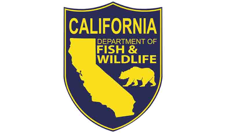CDFW Awards $13M for Coho Recovery Projects