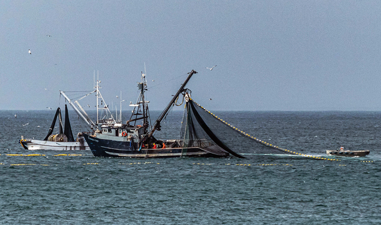 Regional Report: Hawaii and California Commercial Fisheries