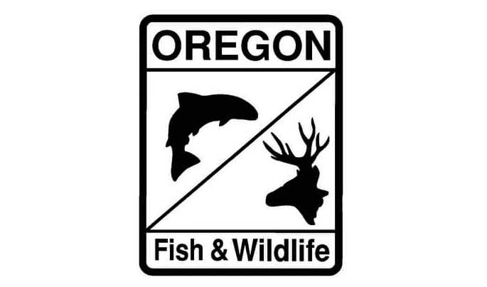 Oregon Fish and Wildlife Commission Sets Control Date for Growing Commercial Market Squid Fishery