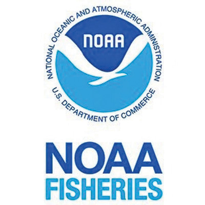New Mapping and Analysis Portal Helping NOAA Track Marine Species