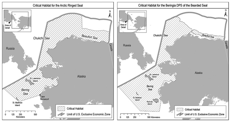 NOAA Fisheries Designates Critical Habitat for Ringed and Bearded Seals