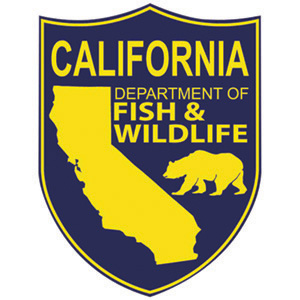 California Agencies Partner to Support Salmon in Drought Conditions