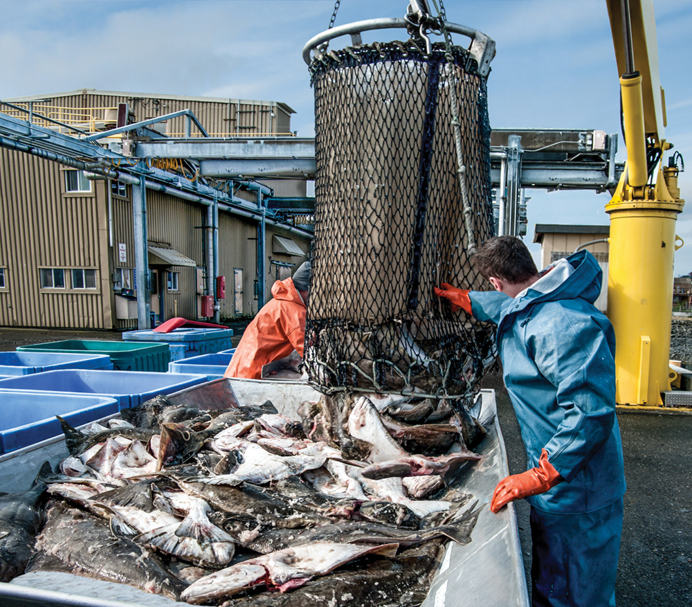 Tax Credit Program for Seafood Processors Extended