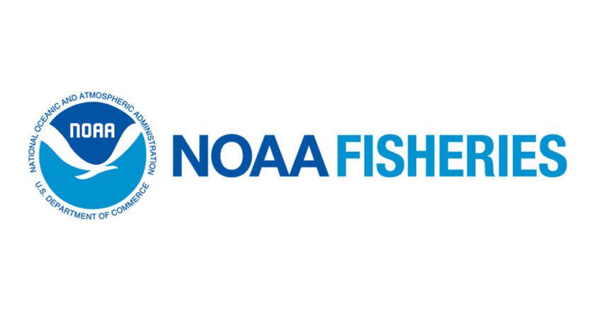 NOAA Study Recommends Steps to Support Young Fishermen