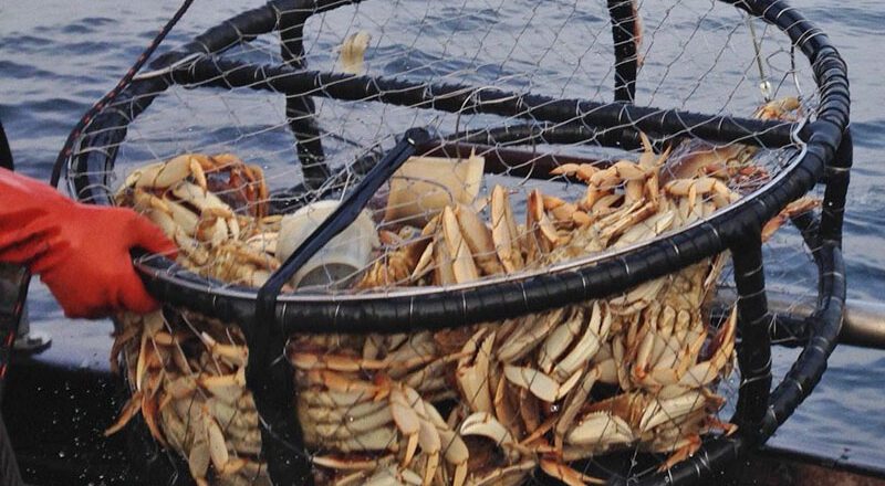 Alaska Seeks Federal Disaster Declaration for Crab Fisheries