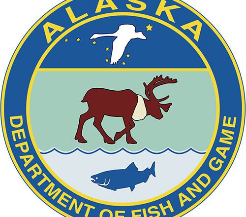 2022 Alaska Salmon Harvest Valued at Over $720M