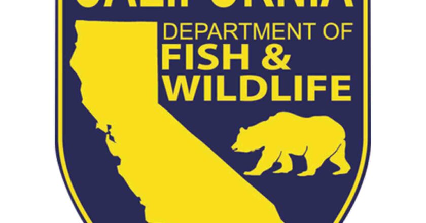 California Fish and Wildlife Schedules Marine Life Entanglement Risk Assessment
