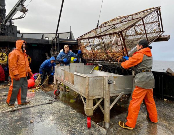 Deadliest Catch Season 19: A Witness to History in Hard Times ...