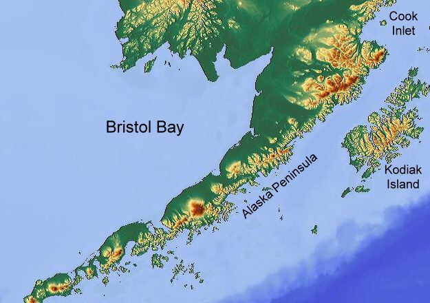 Warming Climate Expected to Boost Some Bristol Bay Stocks, Others Likely to Decline