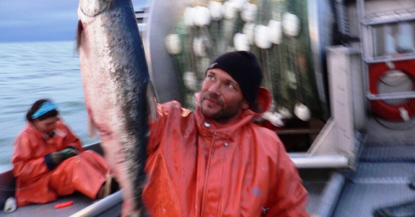 BBRSDA Offers Advice on How to Get Work in the Bristol Bay Fishery