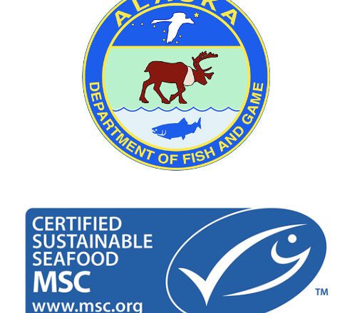 ADF&G Expresses Concerns Over MSC’s Russian Seafood Monitoring