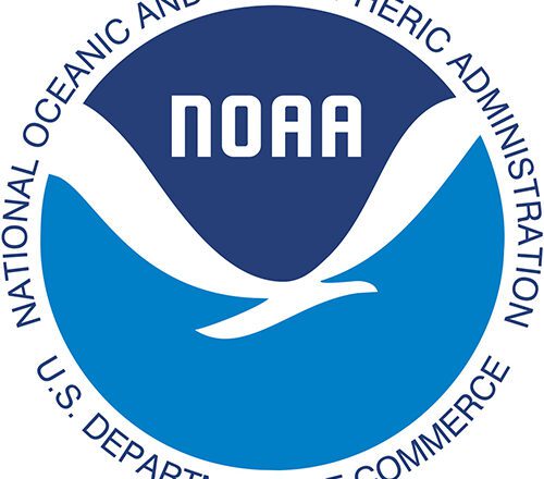 NOAA Report Cites IUU, Forced Labor, Shark Catch Issues