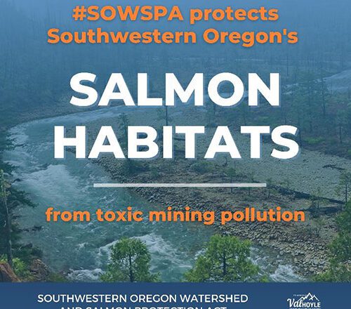 New Bill Would Permanently Ban Some Mining Projects to Protect Oregon Salmon