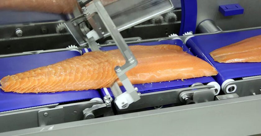 Catch Processing Equipment: State of the Industry 2023
