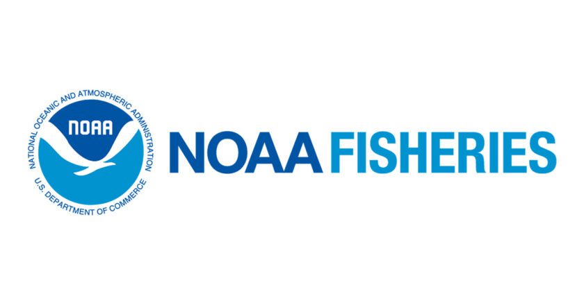 NOAA Fisheries Offering $2.3M for Bycatch Reduction Projects