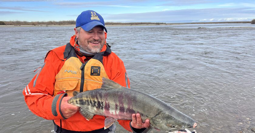 Study Confirms Salmon Spawning in Arctic Rivers