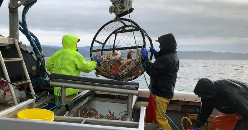Lawmakers Introduce Bill to Make Dungeness Crab California’s Official Crustacean