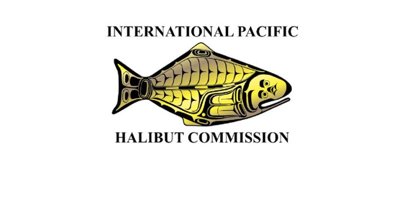 IPHC Approves Coastwide Decrease in Halibut Catch, Down 4.57% From 2023