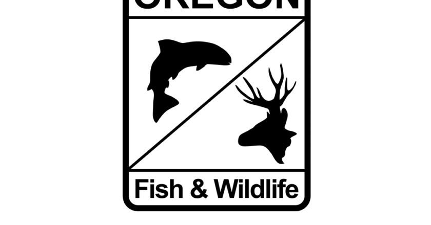 Salmon Preseason Planning Meeting Set for Feb. 28 in Oregon