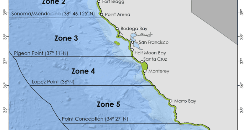 Calif. Closes Dungeness Crab Fisheries Early to Minimize Humpback Whale Entanglements