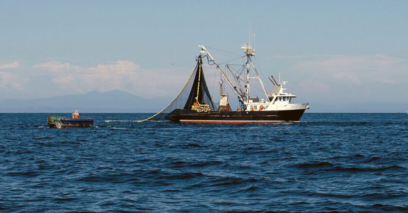 Extreme Ups, Downs for California and Hawaii Fisheries