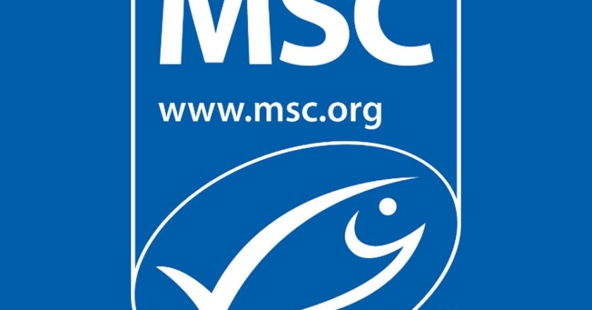 MSC Rejects Effort to Remove Southeast Alaska Salmon from Accredited List