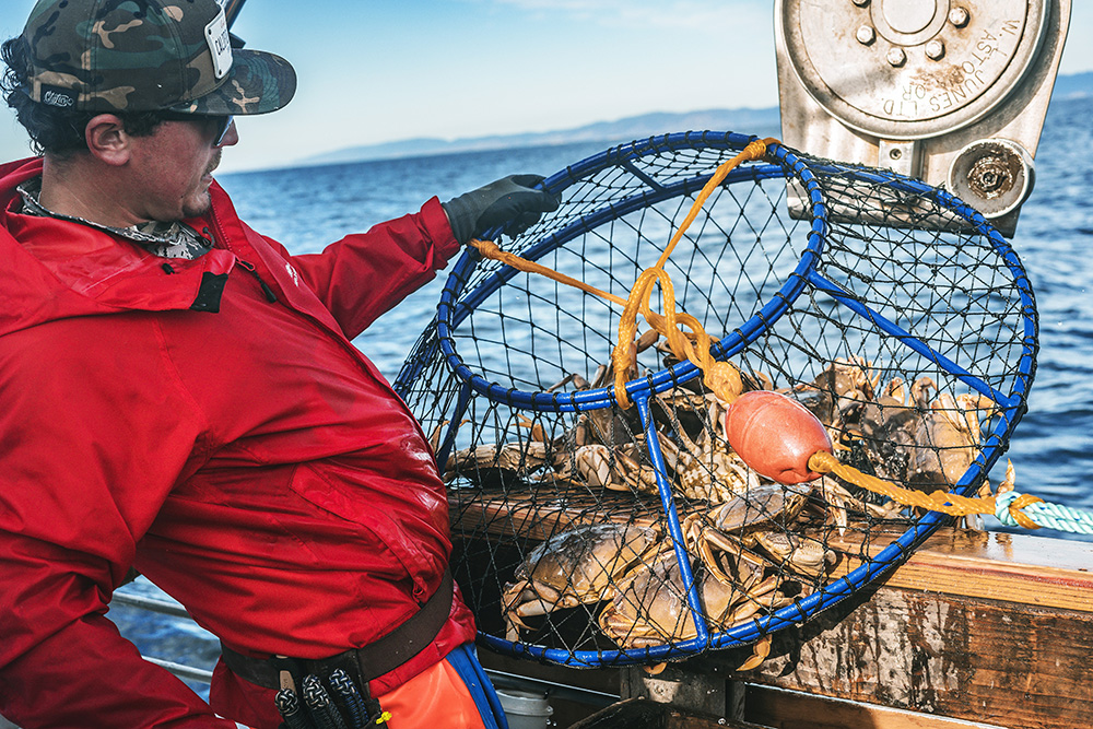 Size, Style, Regulations  Driving West Coast Crab Gear Demand