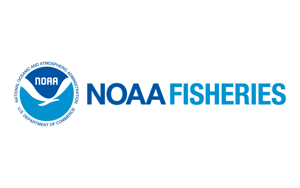 NOAA Recommends Projects to Support Bycatch Reduction Research