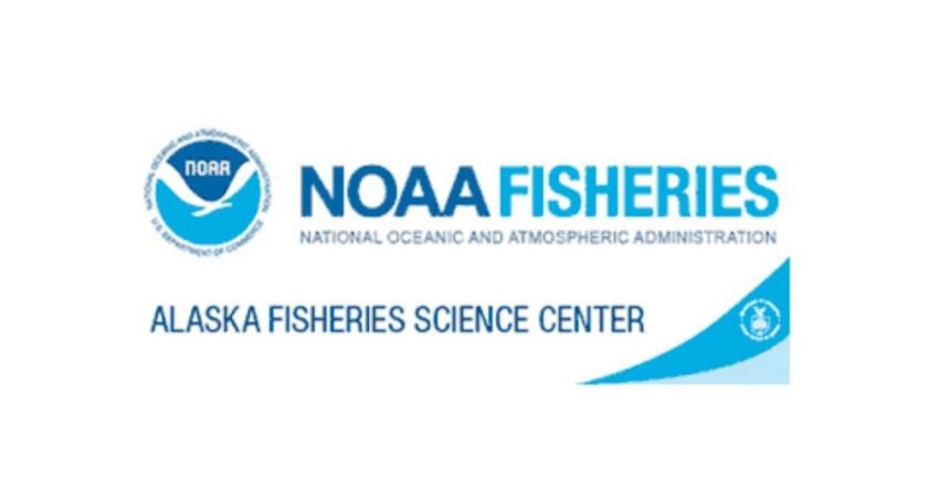 Alaska Fisheries Suffered $1.8B Loss in 2021-23: AFSC Report