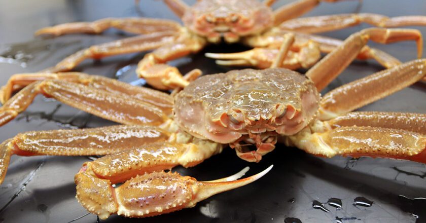 Saint Paul Crab Harvest to be Processed at Unalaska